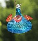 Bird Feeder Hummingbird pictures Bird Feeder Hummingbird pictures