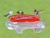 Bird Feeder Hummingbird images Bird Feeder Hummingbird images