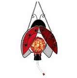 Bird Feeder Hummingbird pictures Bird Feeder Hummingbird pictures