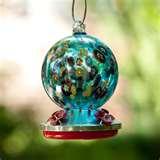 Bird Feeder Hummingbird pictures Bird Feeder Hummingbird pictures