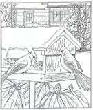 images of Bird Feeder Coloring Page images of Bird Feeder Coloring Page