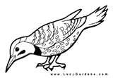 Bird Feeder Coloring Page photos Bird Feeder Coloring Page photos