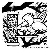images of Bird Feeder Coloring Page images of Bird Feeder Coloring Page