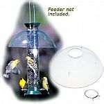 pictures of Wild Bird Feeders Seattle pictures of Wild Bird Feeders Seattle