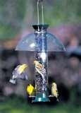 Wild Bird Feeders Seattle photos Wild Bird Feeders Seattle photos