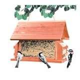 Outdoor Seasons Bird Feeder Lodge pictures Outdoor Seasons Bird Feeder Lodge pictures