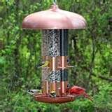 Perky Pet Bird Feeders Triple Tube photos Perky Pet Bird Feeders Triple Tube photos
