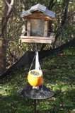Bird Feeder Ingredients Bird Feeder Ingredients