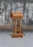 Bird Feeder Of Two Liter Bottle images Bird Feeder Of Two Liter Bottle images