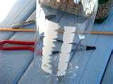 pictures of Bird Feeder Of Two Liter Bottle pictures of Bird Feeder Of Two Liter Bottle