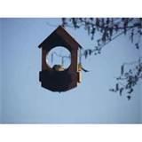 Images of Bird Feeder Window Images of Bird Feeder Window
