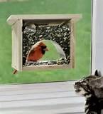 Photos of Bird Feeder Window Photos of Bird Feeder Window