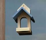 Bird Feeder Window Bird Feeder Window