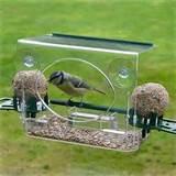 Bird Feeder Window Pictures Bird Feeder Window Pictures