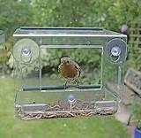 Bird Feeder Window Pictures Bird Feeder Window Pictures