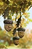 Free Bird Feeders Photos Free Bird Feeders Photos