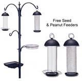 Free Bird Feeders Pictures Free Bird Feeders Pictures