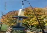 Free Bird Feeders Images Free Bird Feeders Images