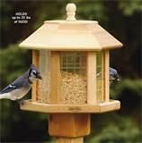 Gazebo Bird Feeder Gazebo Bird Feeder