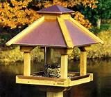 Pictures of Gazebo Bird Feeder Pictures of Gazebo Bird Feeder