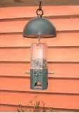 Free Bird Feeders Free Bird Feeders