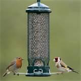 Free Bird Feeders Photos Free Bird Feeders Photos