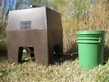 Pictures of Game Bird Feed Pictures of Game Bird Feed