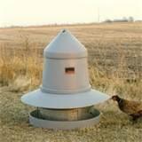 Pictures of Game Bird Feed Pictures of Game Bird Feed