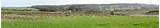Pictures of Game Bird Feed Pictures of Game Bird Feed