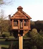 Photos of Bird Feeder Post Photos of Bird Feeder Post