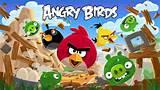 Game Bird Feed Game Bird Feed