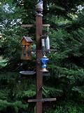 Bird Feeder Post Images Bird Feeder Post Images