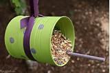 Images of Feeders Bird Images of Feeders Bird