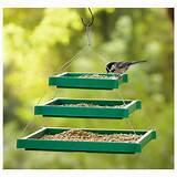 Feeders Bird Feeders Bird