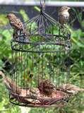 pictures of Bird Feeder Victorian Style