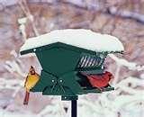 Bird Feeder On Pedestal pictures