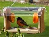 images of Bird Feeders Contemporary