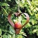 Bird Feeder Bristol Bird Feeder Bristol