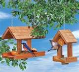 images of Bird Feeder Affiliates images of Bird Feeder Affiliates