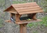 Bird Feeder At Home Depot