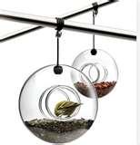 images of Bird Feeders Contemporary