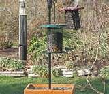 images of Bird Feeders Photography