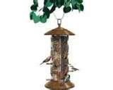 Bird Feeder Affiliates photos