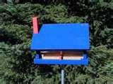 images of Bird Feeder Smaller Birds images of Bird Feeder Smaller Birds