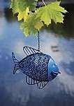 photos of Bird Feeder Affiliates photos of Bird Feeder Affiliates
