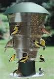 Bird Feeder At Home Depot