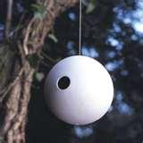 images of Bird Feeder Smaller Birds images of Bird Feeder Smaller Birds