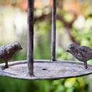 pictures of Bird Feeder Bristol