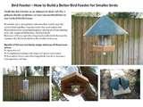Bird Feeder Smaller Birds photos Bird Feeder Smaller Birds photos