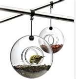 photos of Bird Feeders Contemporary